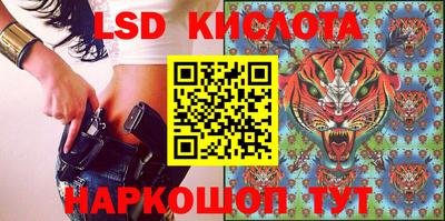 бошки Камышлов
