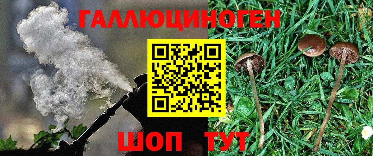 Галлюциногенные грибы Cubensis  Вход с VPN  дарнет шоп  Кызыл 