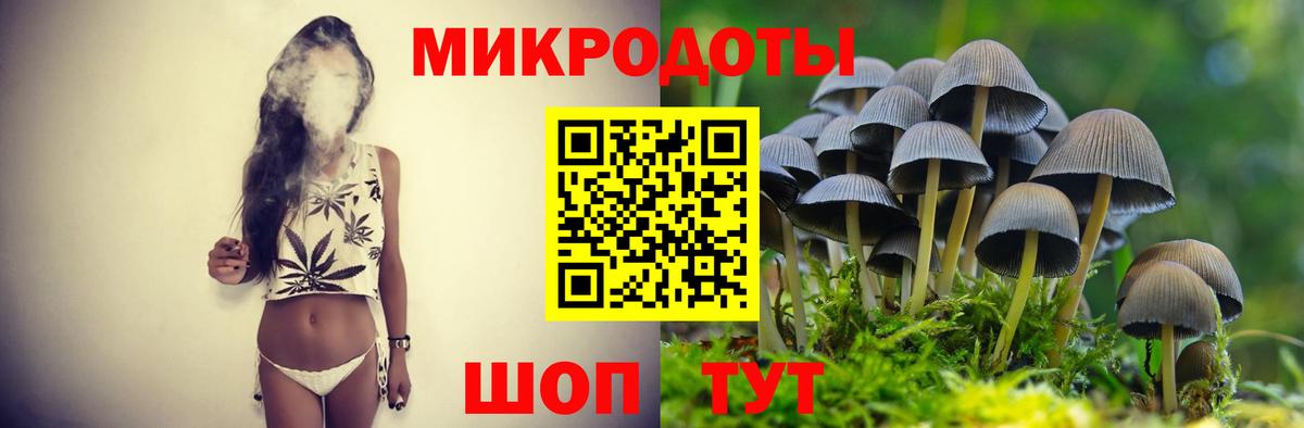 Псилоцибиновые грибы Psilocybe Кызыл